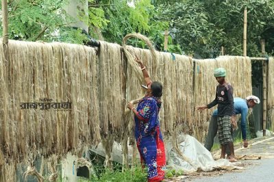 তিন বছরের মধ্যে সর্বোচ্চ, কারণ কী